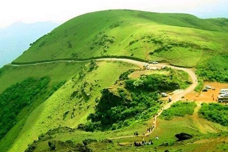 Sasya KashiChiikamagaluru Mullayanagiri