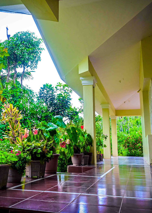 Sasya Kashi Homestay View